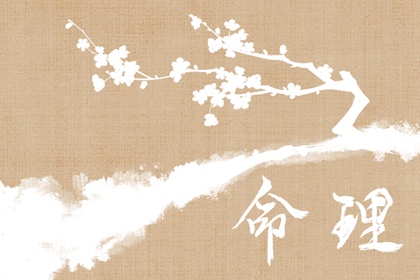 本命盘分析_详细八字命盘_查紫微格局_姓名命盘_命命盘_测紫微斗数